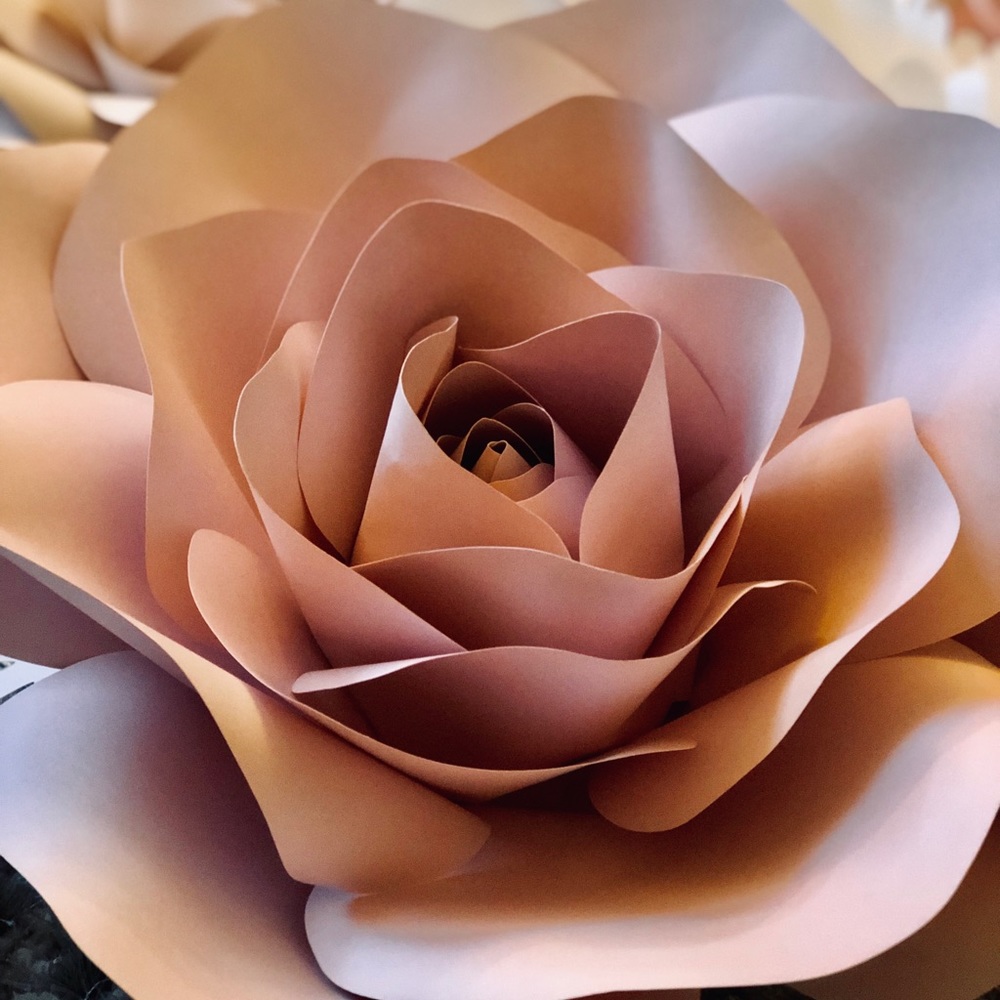 Paper Flowers Set - Picture 5 of 5